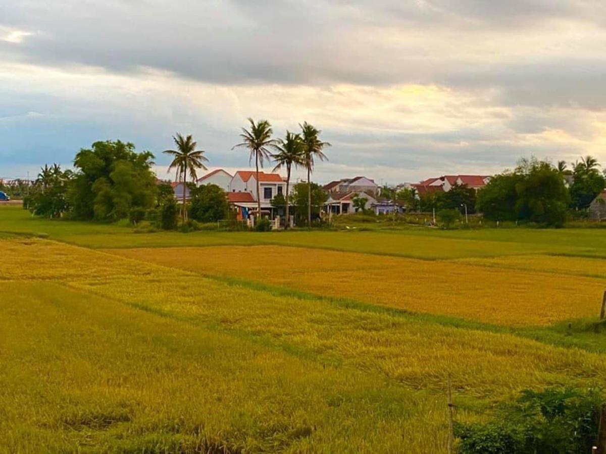 Hoi An Paddy House Homestay Екстериор снимка
